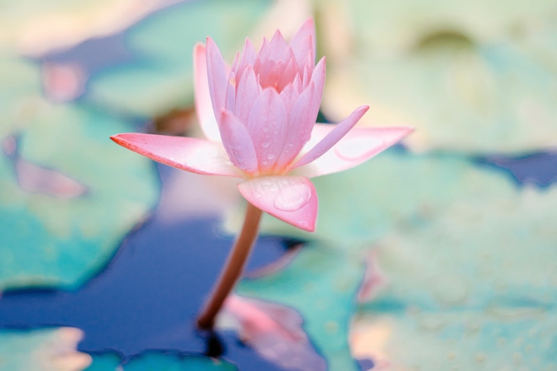 Disappointment and Frustration