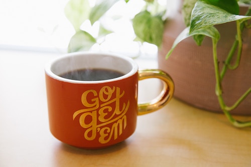 "Go Get 'Em" coffee mug